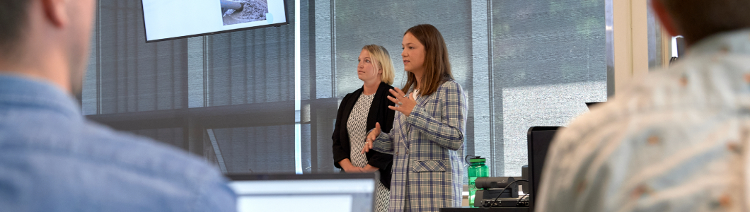 Professors lecturing 