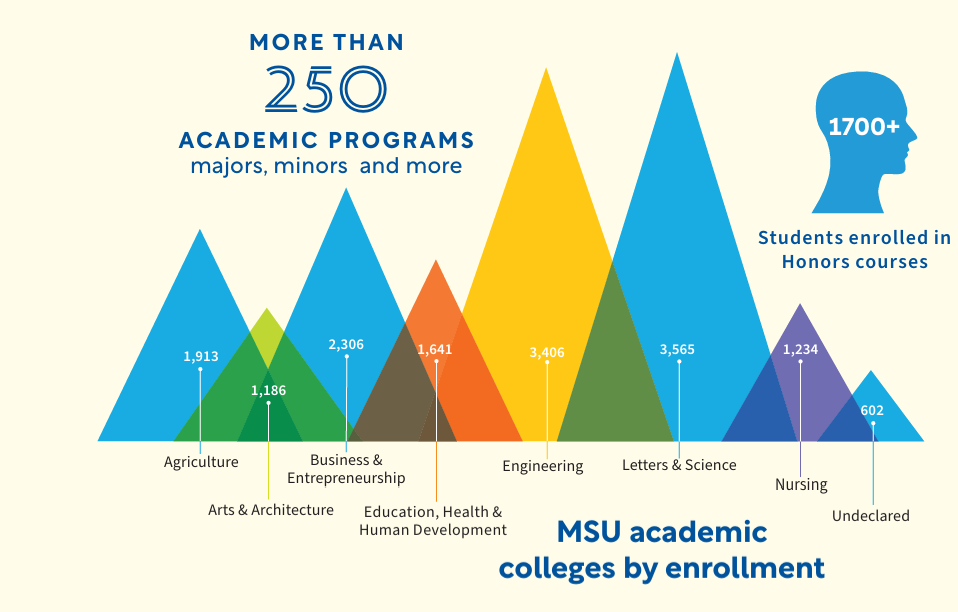 Graphic describing the student population of each MSU college