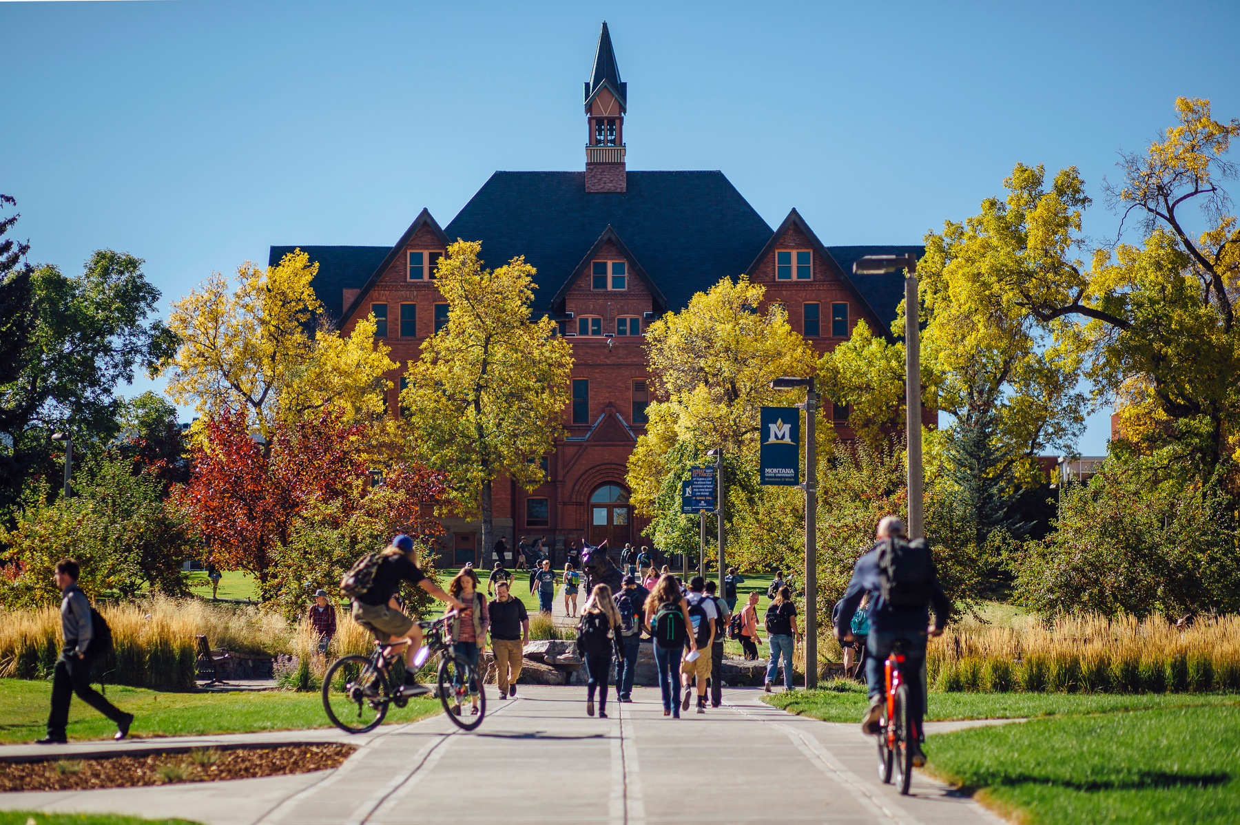Students walking and riding bikes around the bobcat statue with MT hall in the background in fall.