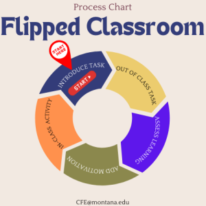 process chart for the flipped classroom