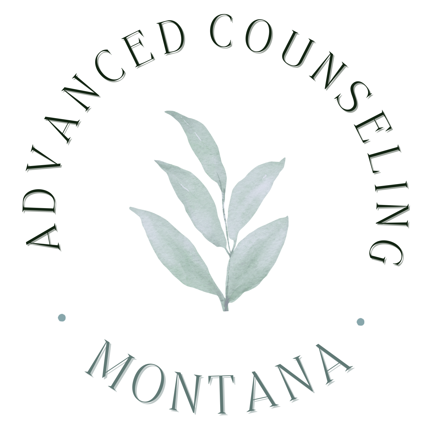 Put Image Description Here