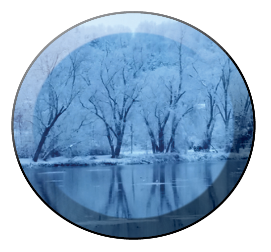 Ice covered trees along river.