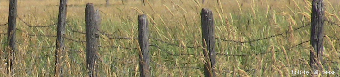 Fence at Dry Creek School