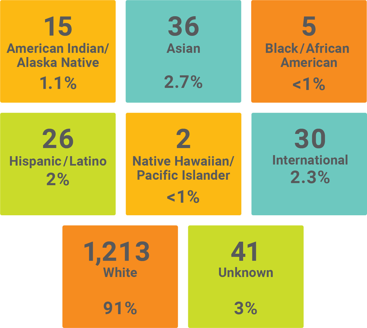 Graphic showing the demographics of faculty by race and ethnicity. American Indian/Alaska Native with 15 at 1.1%, Asian with 36 at 2.7%, Black/African American with 5 at less than 1%, Hispanic/Latino with 26 at 2%, Native Hawaiian/Pacific Islander with 2 at less than 1%, White with 1,213 at 91%, and Unknown with 41 at 1.1% 