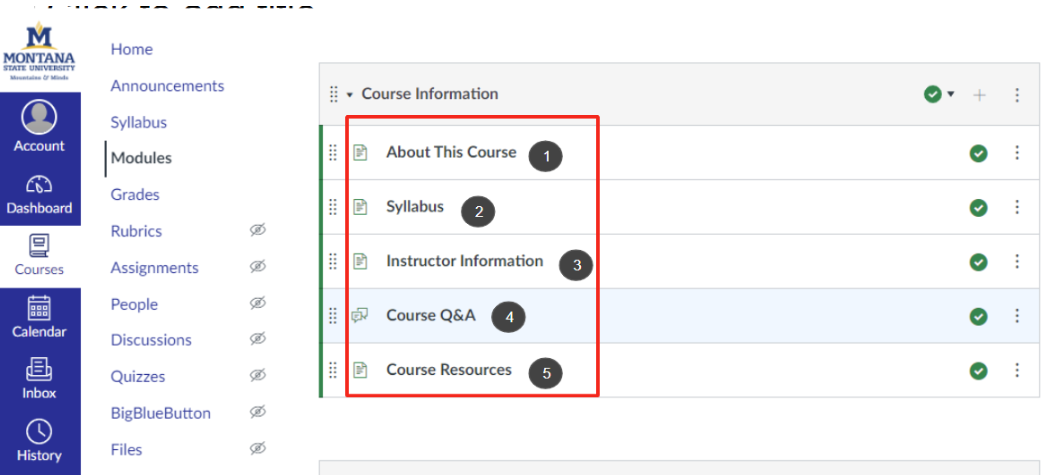 Course Information module with its pages and activities outlined in red.  