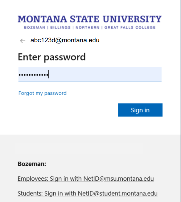 MSU sign in page with a place to type username and a blue next button