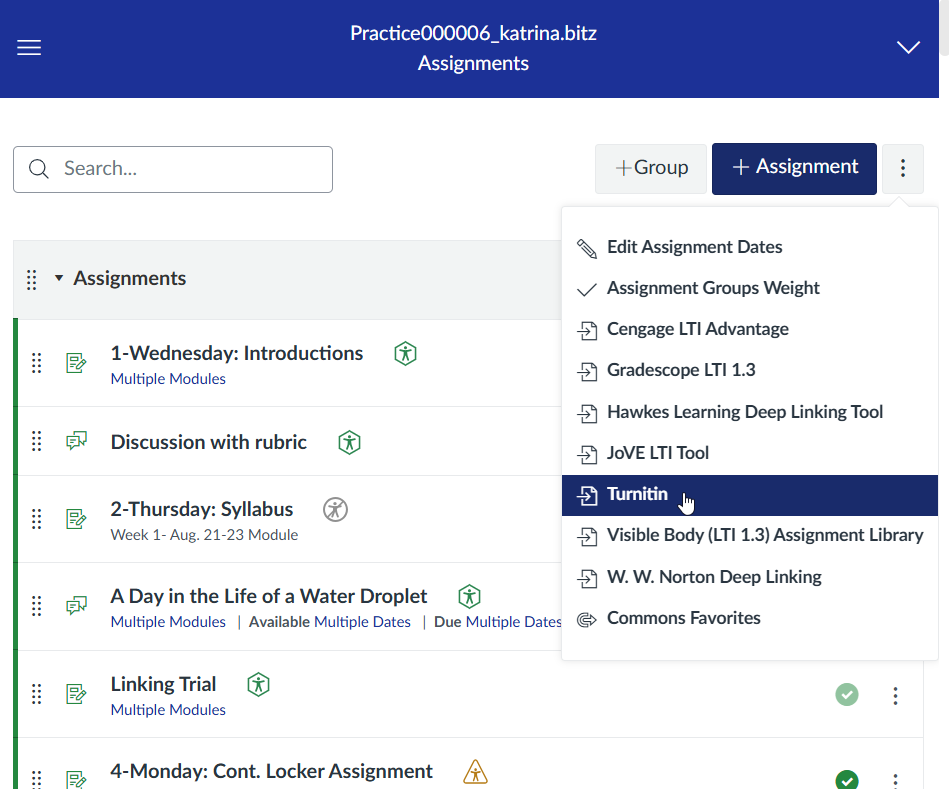 Assignment window of Canvas with the 3 dots clicked and a dropdown menu with turnitin selected