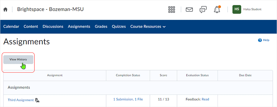 Brightspace screenshot 20.22.11 - select "View History" button to access all submission history