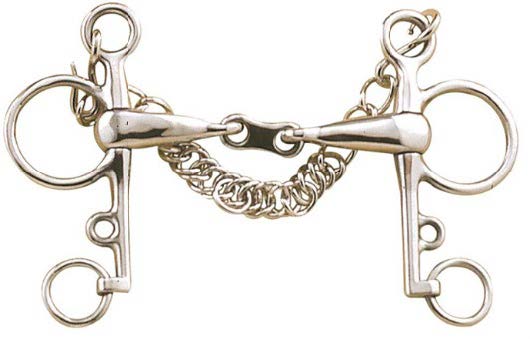 a jointed metal mouthpiece with a curb chain hanging beneath it, and rings connected on either side of the end shanks