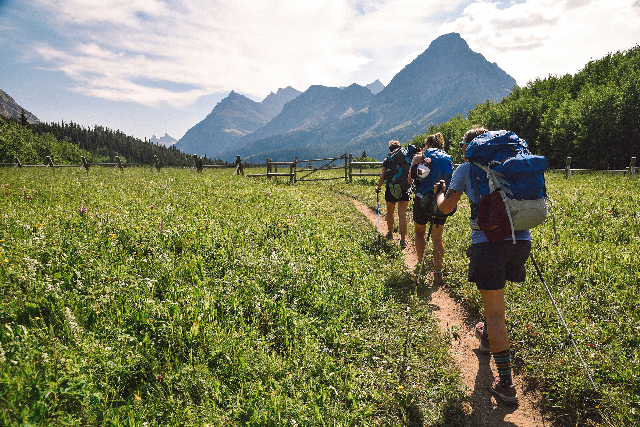 Group of hikers going toward the mountains.