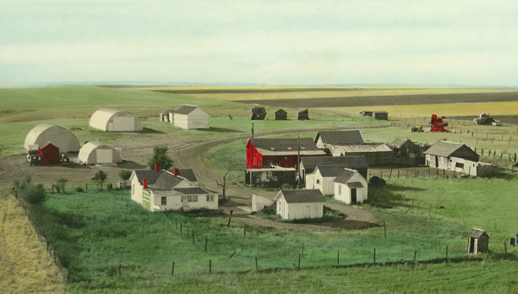 Aerial view of Triangle N Farms circa 1958. Barns, buildings, and a home lay across the land.