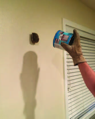 A gloved hand holds the can, with the lid removed, and has it positioned to capture a bat on a wall.