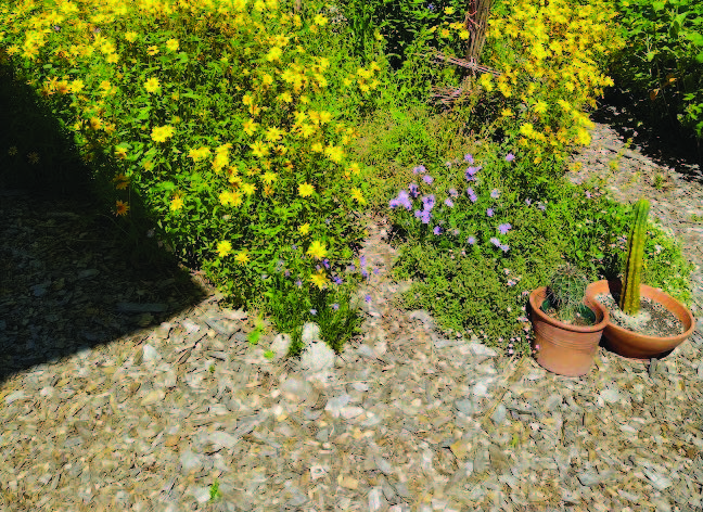 Woodchips are scattered around flower plantings.