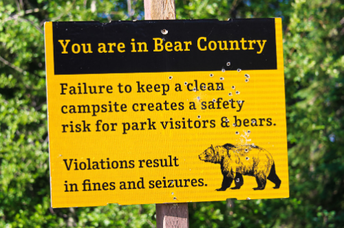a sign displayed on a trailhead warning about bear country
