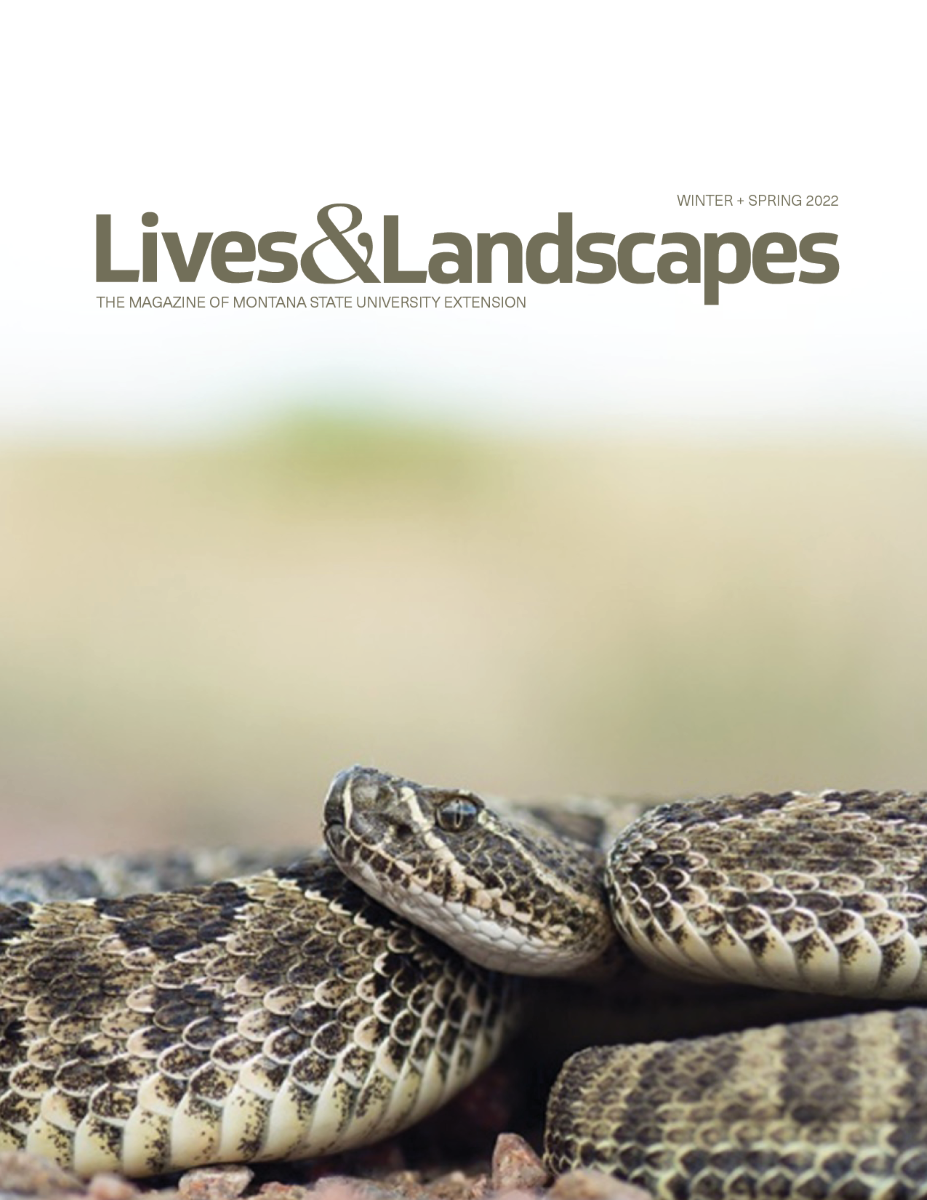 This cover features a rattlesnake that is coiled up. It's head is facing sideways to the camera, so you can see one eye and the white under it's chin. It fills the bottom third of the image, while the rest is blurred.