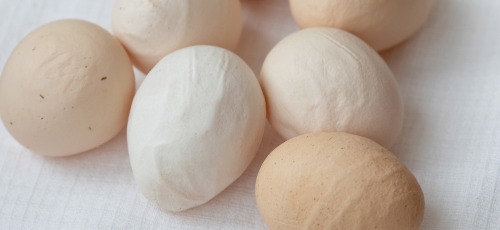 white and brown eggs with wrinkled shells