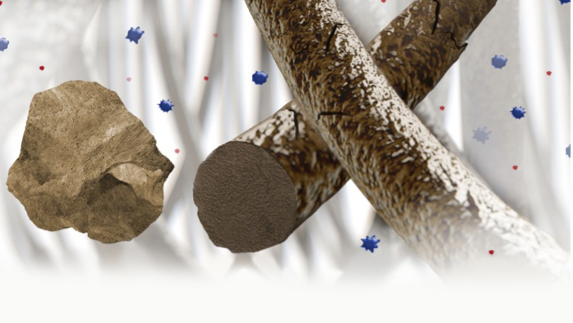Size comparisons for particulate matter (PM) in micrometers (μm).
