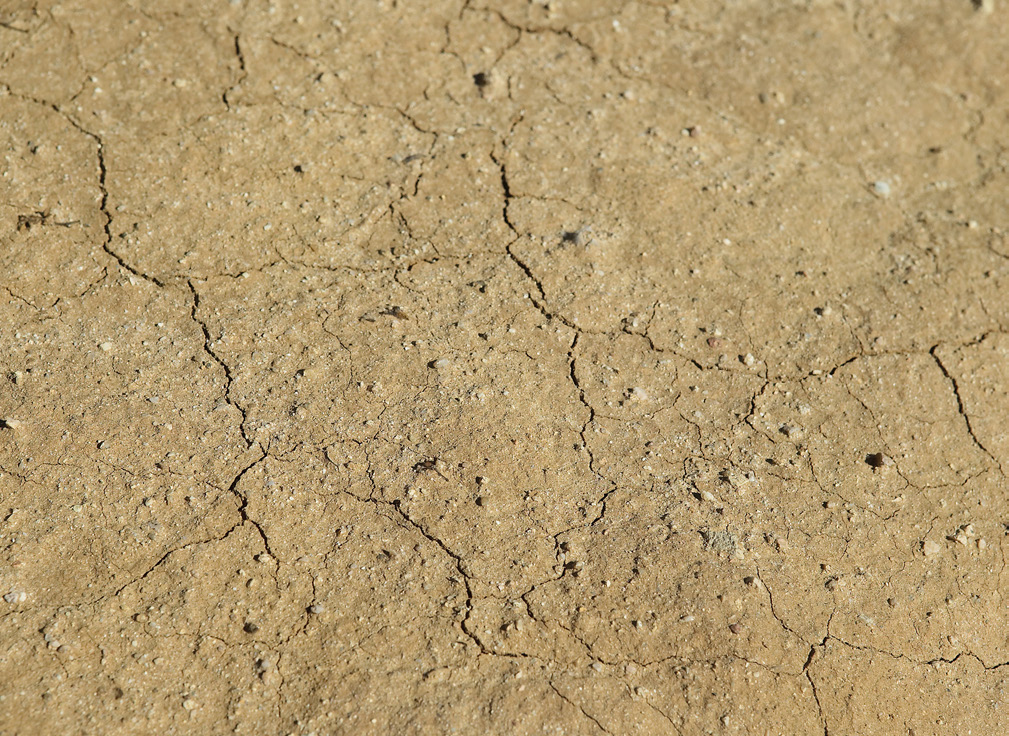 upclose photo of dry cracked ground.