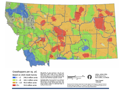 The 2022 Hazard Map for Montana shows predicted grasshopper numbers through coloring. The largest areas of low predicted numbers are in the northwestern and southwestern corners of the state. The largest areas of highest predicted grasshopper numbers are in the central and northeastern regions.