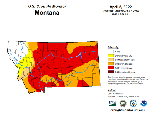 A map of Montana shows the vast majority of the state to be in severe or extreme drought. The only area not affected by drought, according to the map, is the northwestern corner.