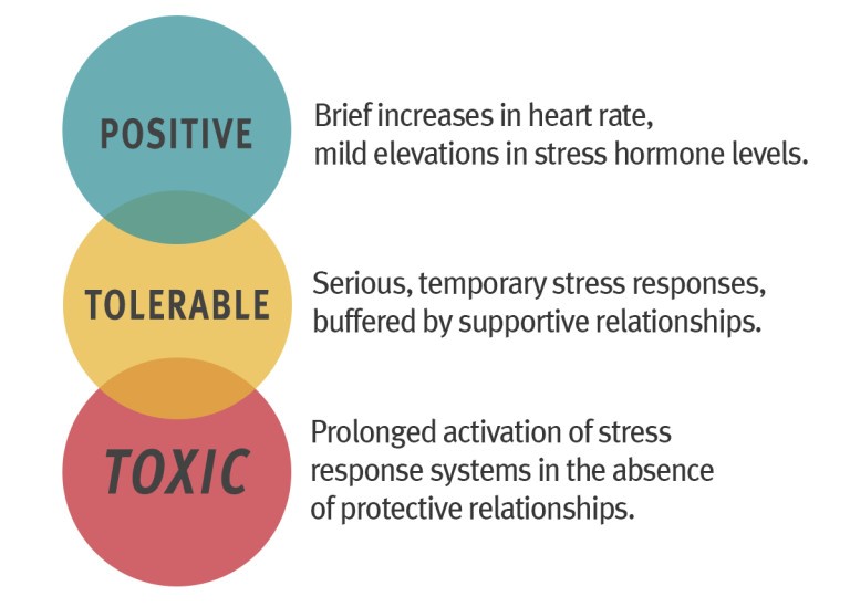 what is stress graphic