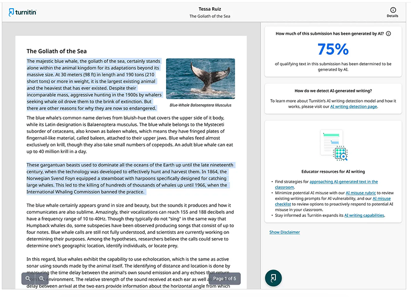 Example of TurnItIn AI detection output