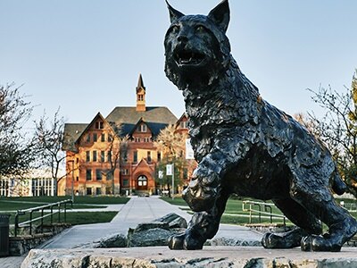 The large bronze statue of a bobcat on a cloudy day with snow covering the ground. Montana Hall, a large bell-towered college administration building, on Montana State University's Bozeman campus can be seen in the distance.
