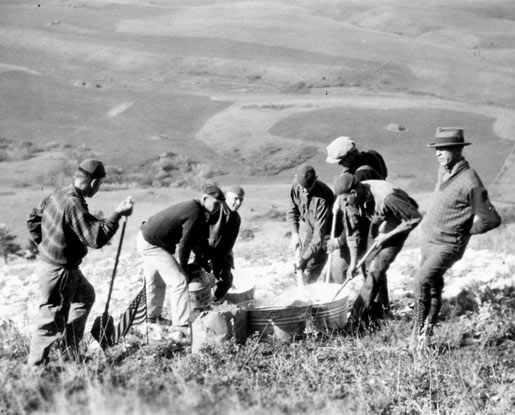 A black-and-white photo shows several men on the side of Mount Baldy in the 1920s whitewashing the college “M.” The men are wearing flat caps and brimmed hats and are dipping what appears to be shovels, brooms or other long implements into large metal basins containing whitewash. The valley below is farmland.