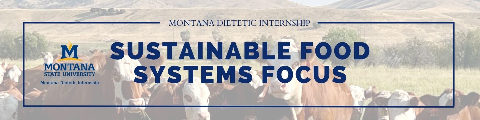 sustainable food systems banner