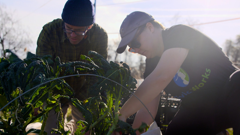 AmeriCorp service in community gardening