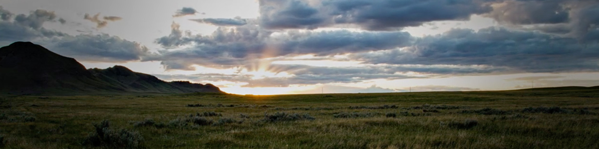 Sunset on the plains