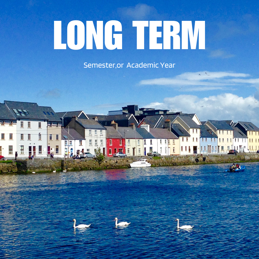 Longterm