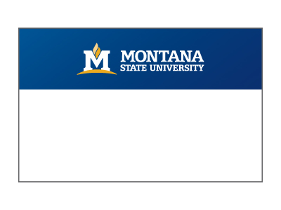 MSU branded nametag example MSU branded nametag example