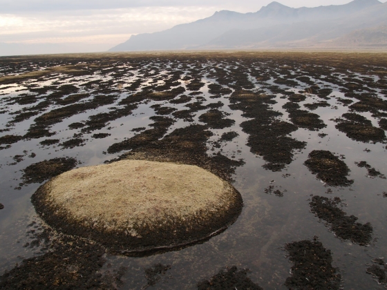 North arm of the great salt lake