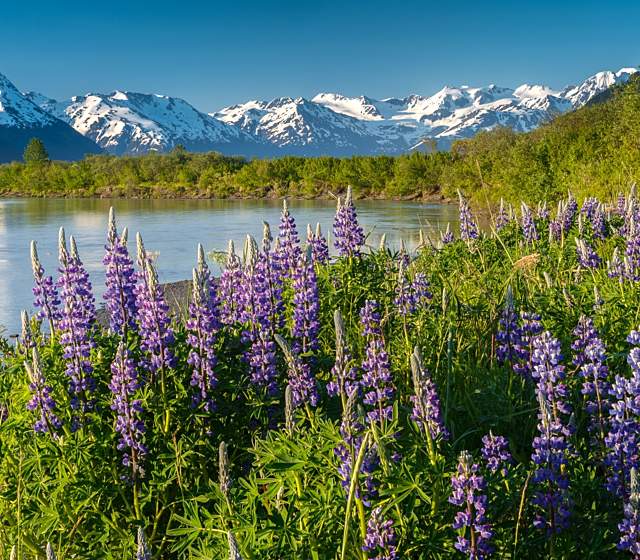 Alaska 