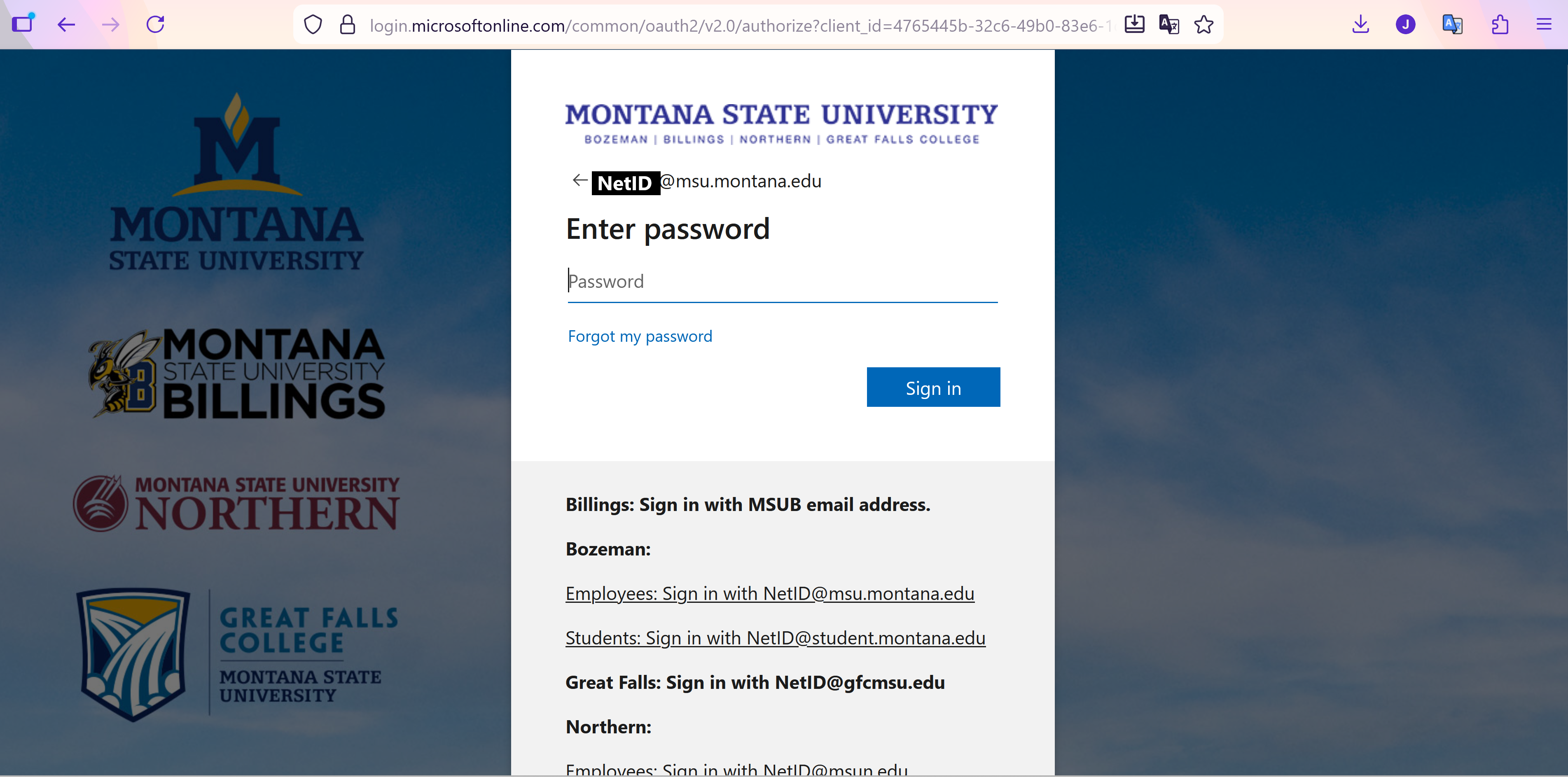 MSU's login page