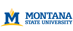 Montana State University