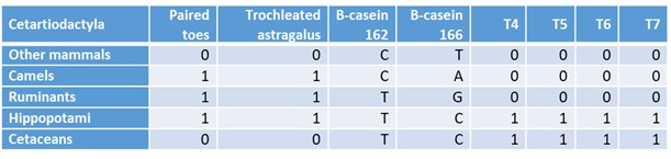 Chart 2