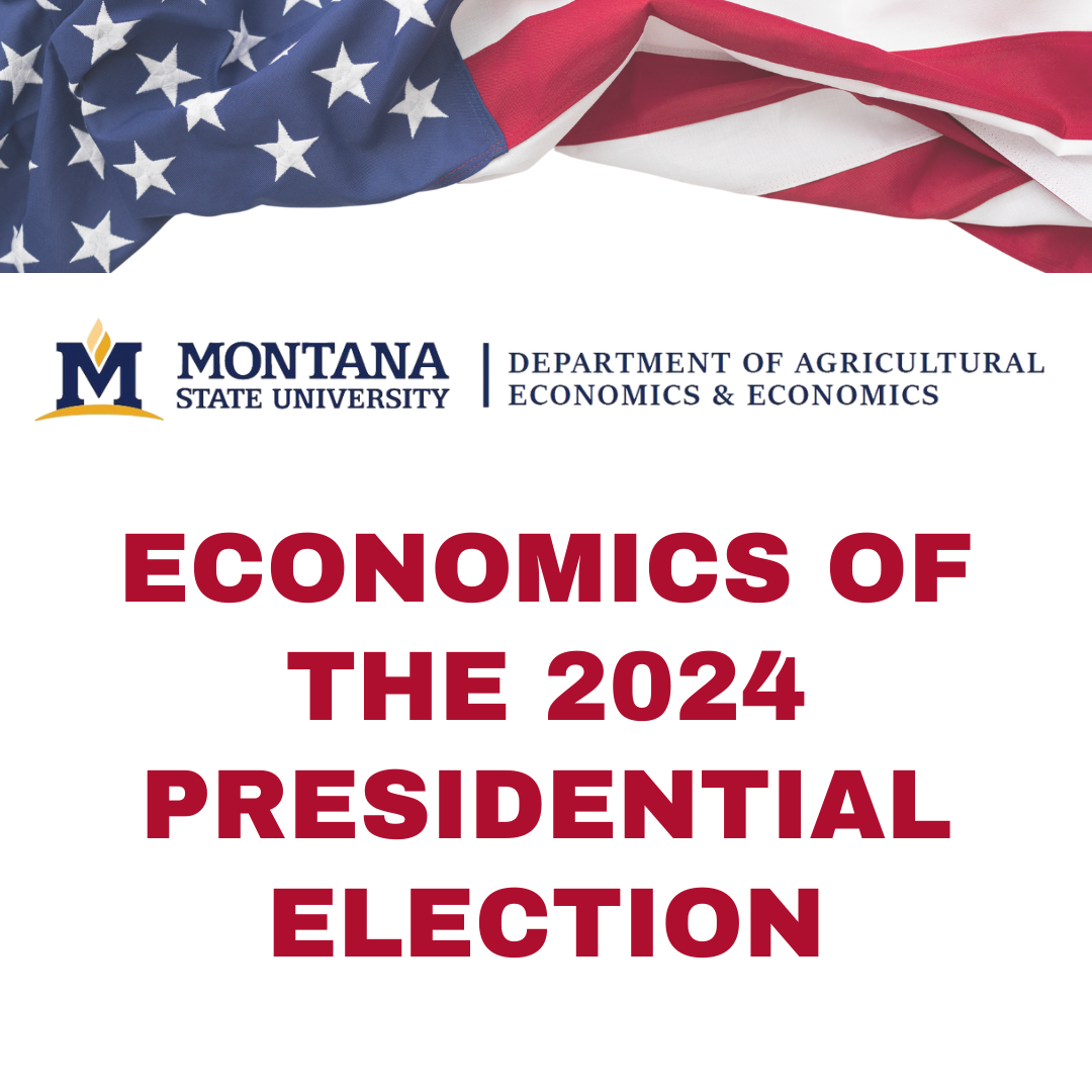 Economics of 2024 Presidential Election