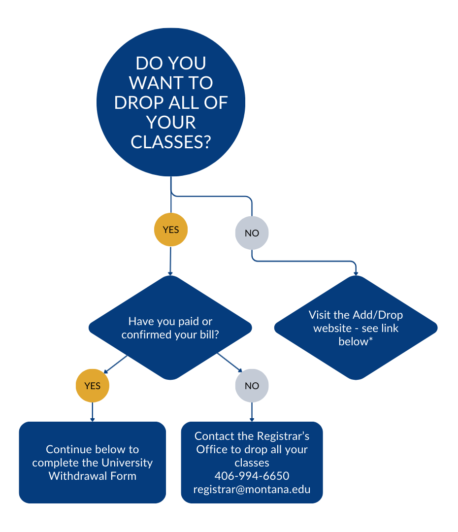 UWD Flowchart Graphic