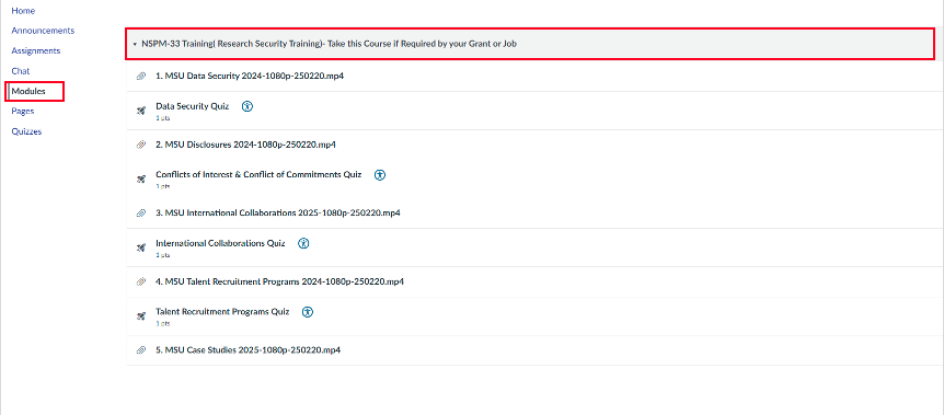 Screen shot showing where NSPM33 is located in canvas