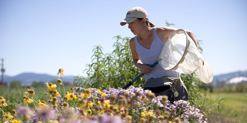 Casey Delphia Casey Delphia