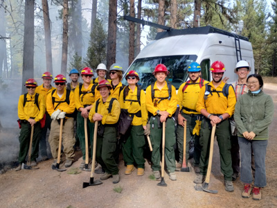 Put Image Description Here