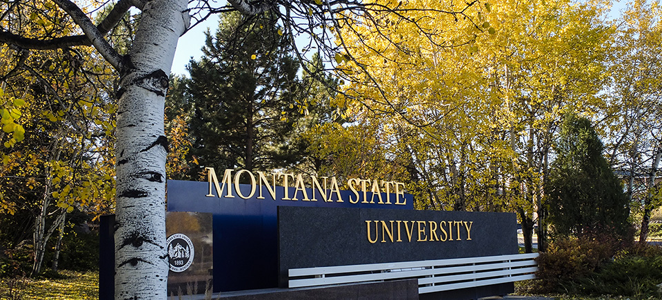 Fall colors with MSU sign.