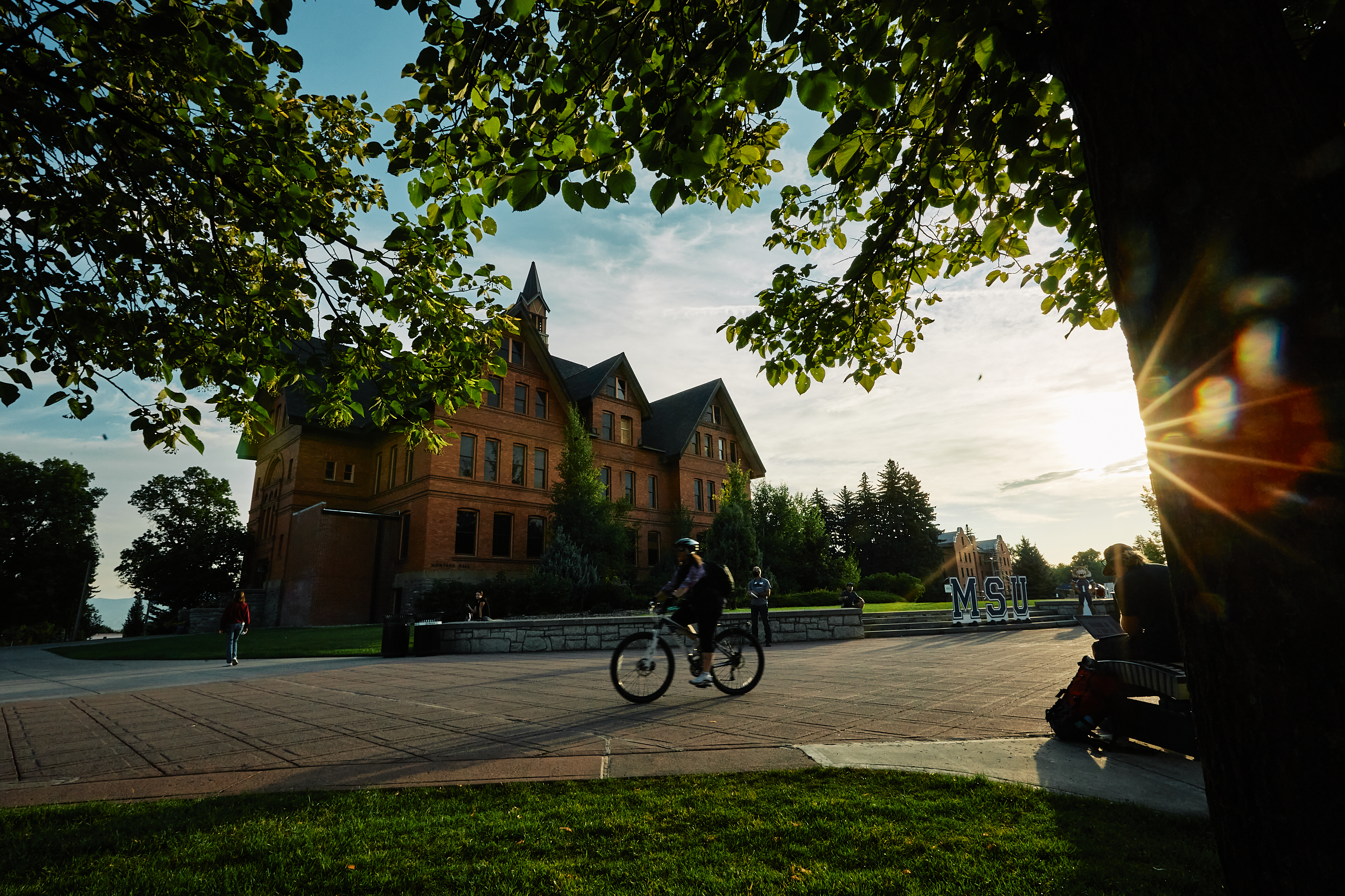 Sunshine behind montana hall