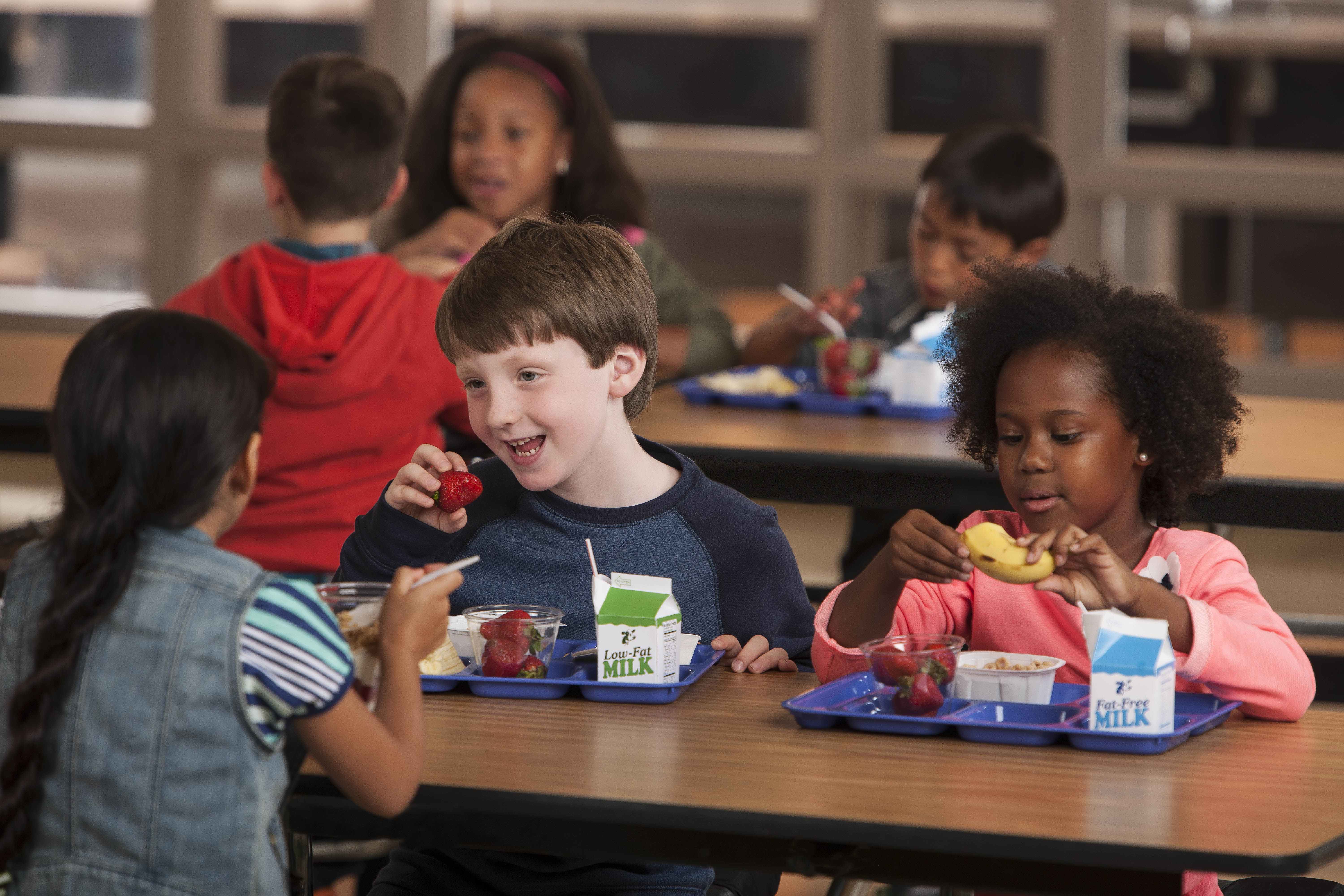 school breakfast