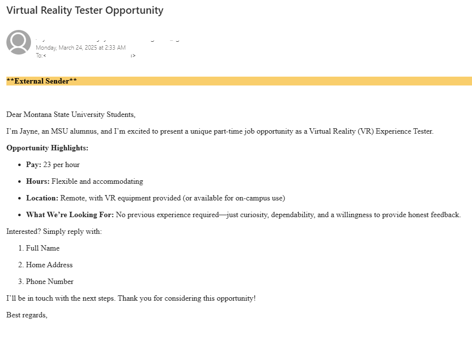 Email describing a fake offer of VR job