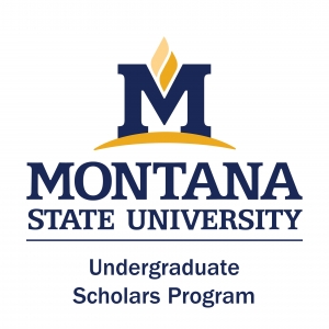 Undergraduate Scholars Program logo